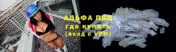 гашик Беломорск