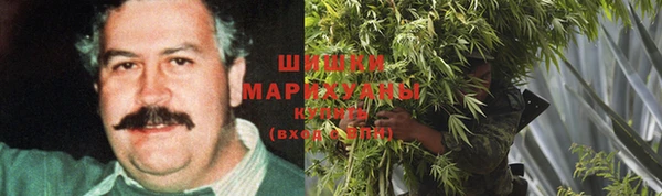ALPHA PVP Белокуриха